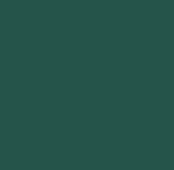 Green bag color option