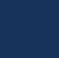 Navy bag color option