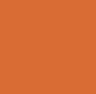 Orange bag color option
