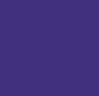 Purple bag color option