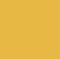 Yellow bag color option